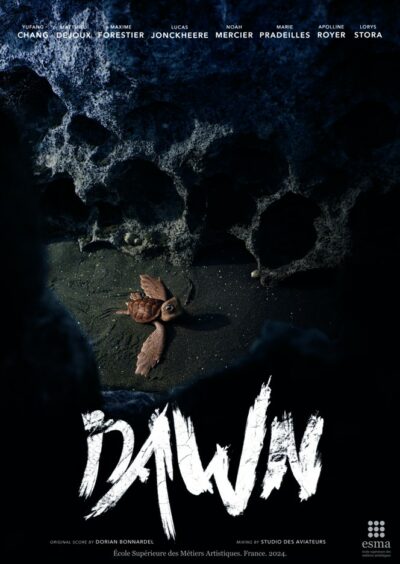 affiche film 3d 2024 dawn