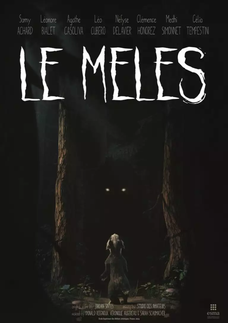 affiche film esma 3d 2024 le meles