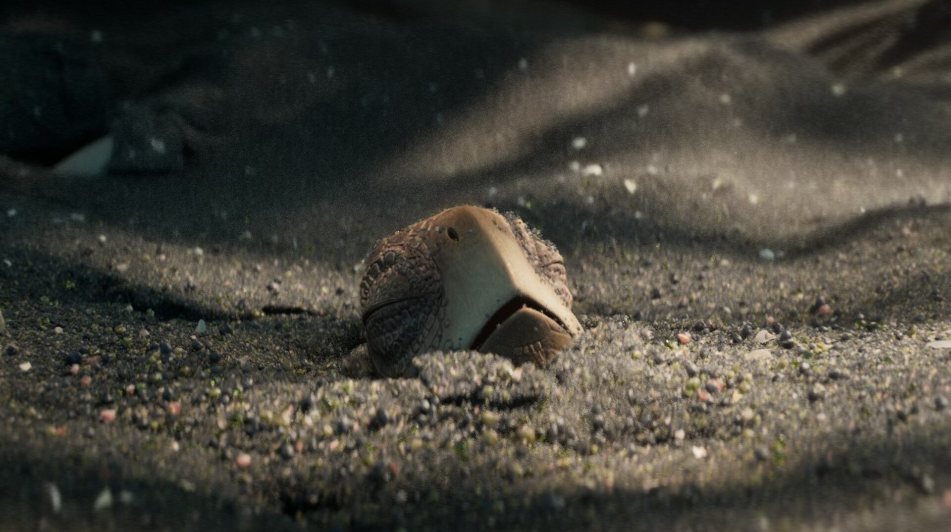 extrait film 3d 2024 dawn esma
