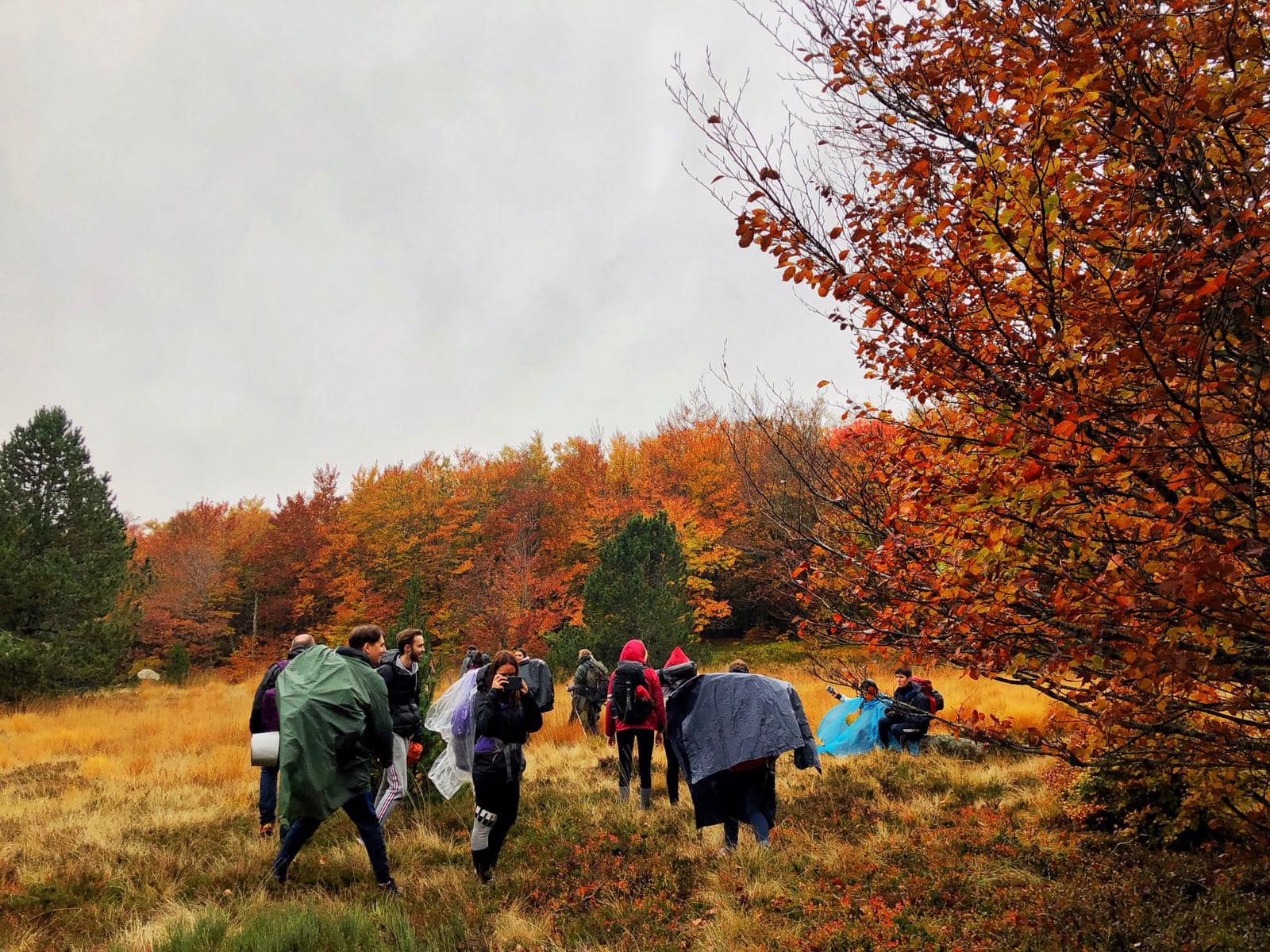 etudiants de l'ESMA marchant sous la pluie pour une randonnée dans le mont lozère