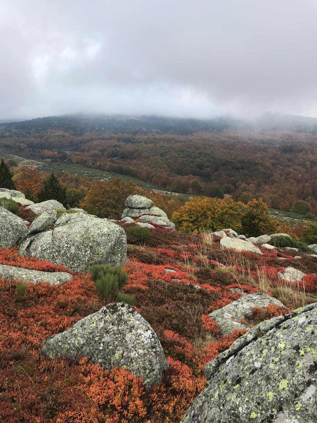 Paysage du Mont Lozère