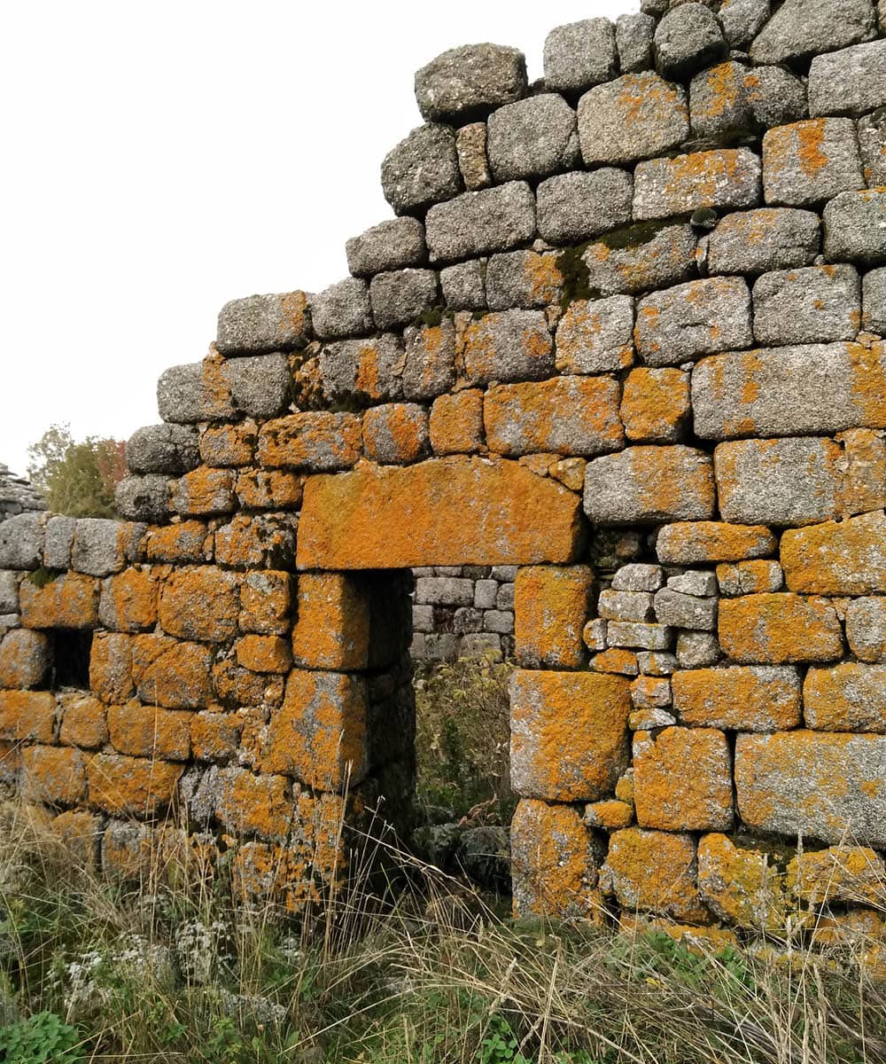 Ruine du mas Belledonne au Mont Lozère