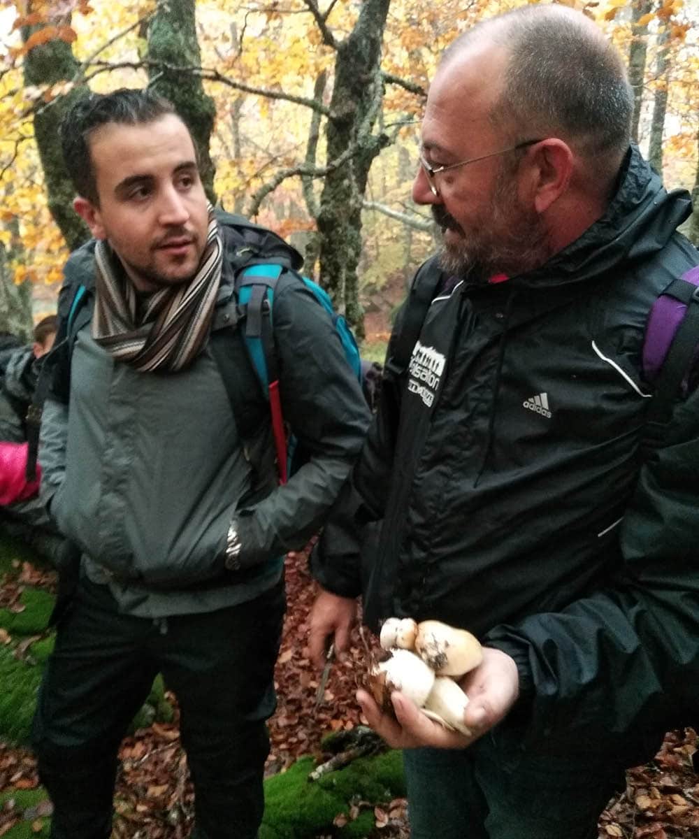 Cueillette de cèpes par les étudiants de design d'espace de l'ESMA Montpellier au Mont Lozère