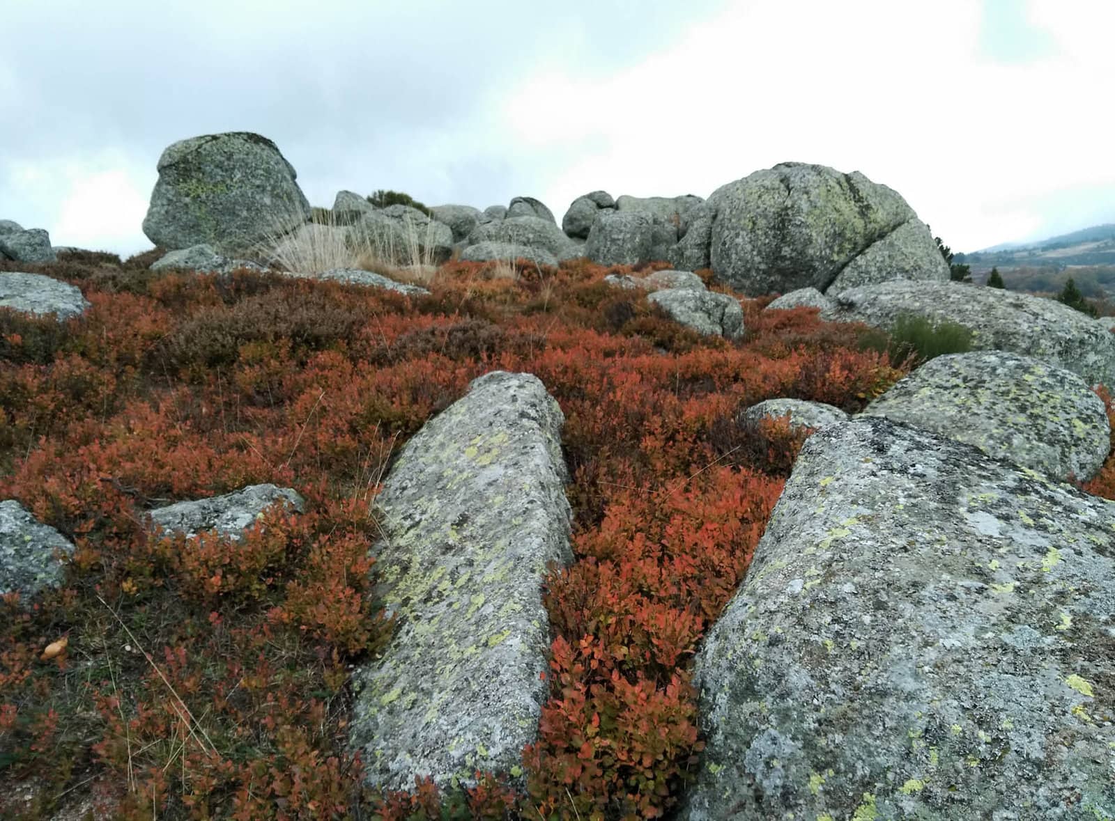 Paysage du mont lozère