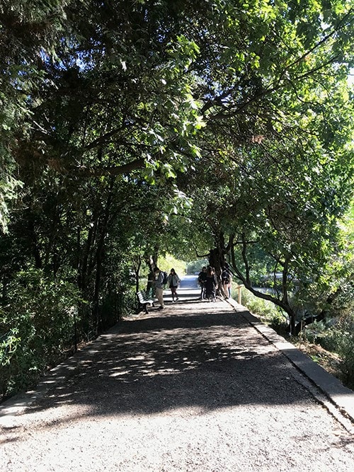 Etudiants de Design Graphique de l'ESMA en visite au Jardin des Plantes de Montpellier