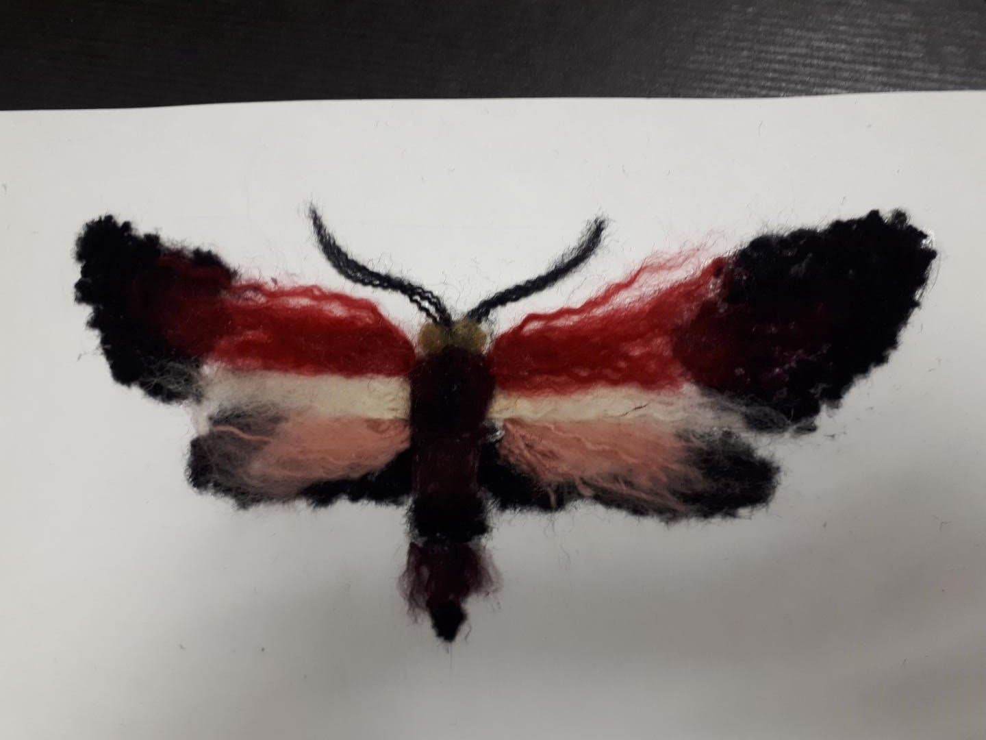 Papillon expression plastique esma lyon