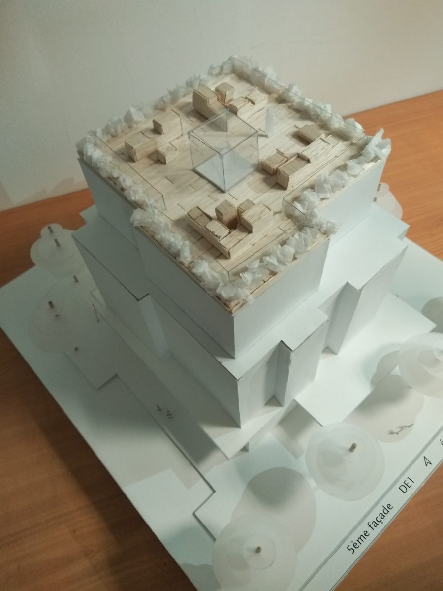 Projet aménagement toit immeuble Malbosc Montpellier