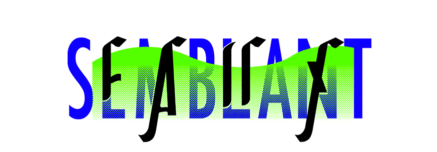 proposition de logo lisa zanetti