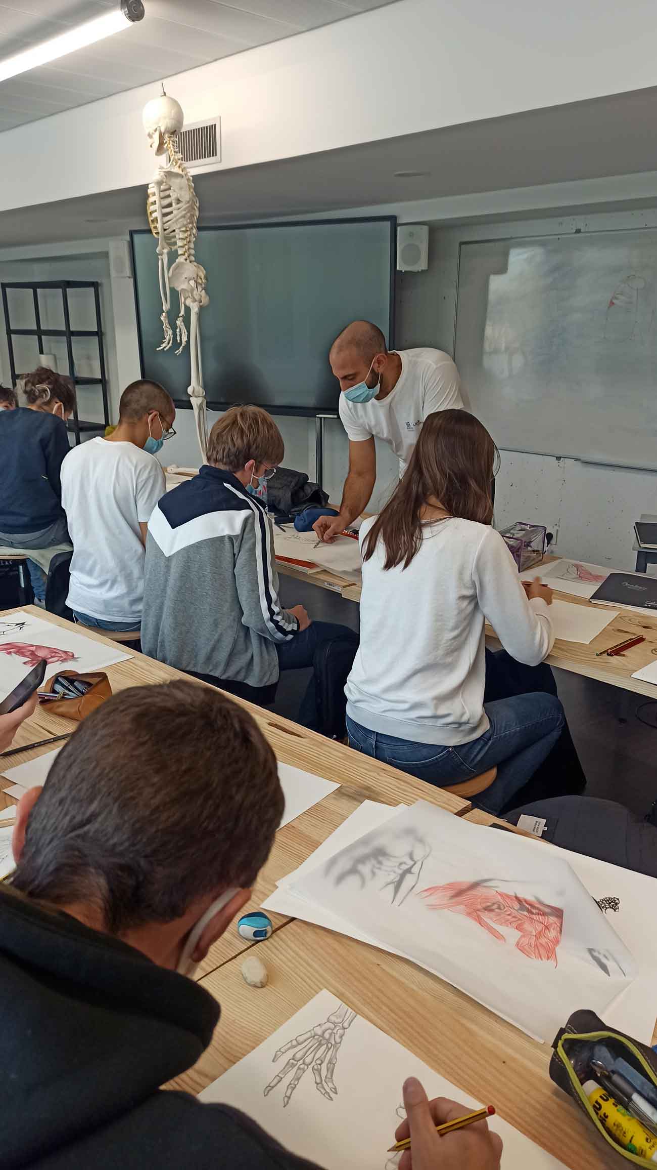 cours d'anatomie prépa entertainment