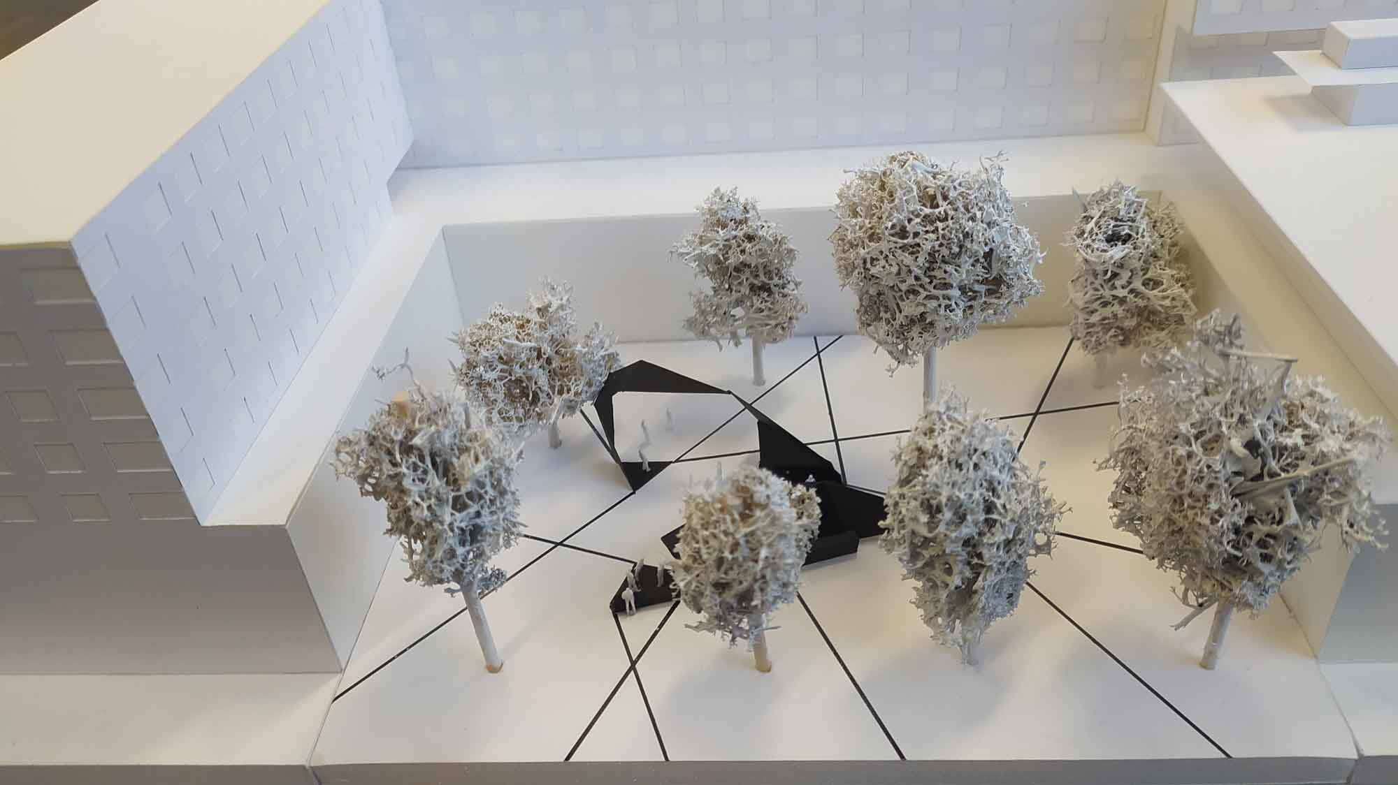 img 20220208 144831