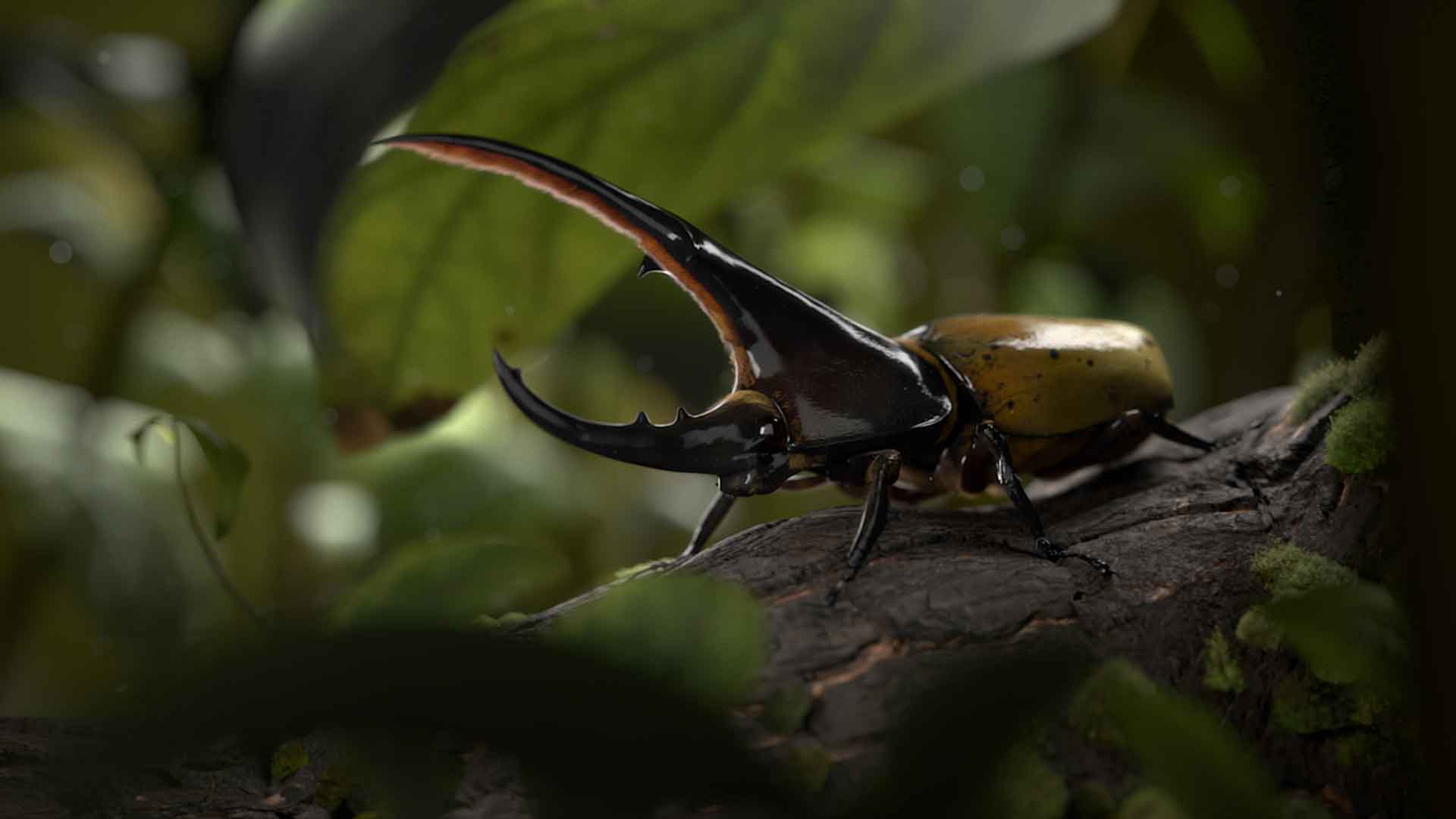3d2a 2022 carn melodie jb insectfinal v01