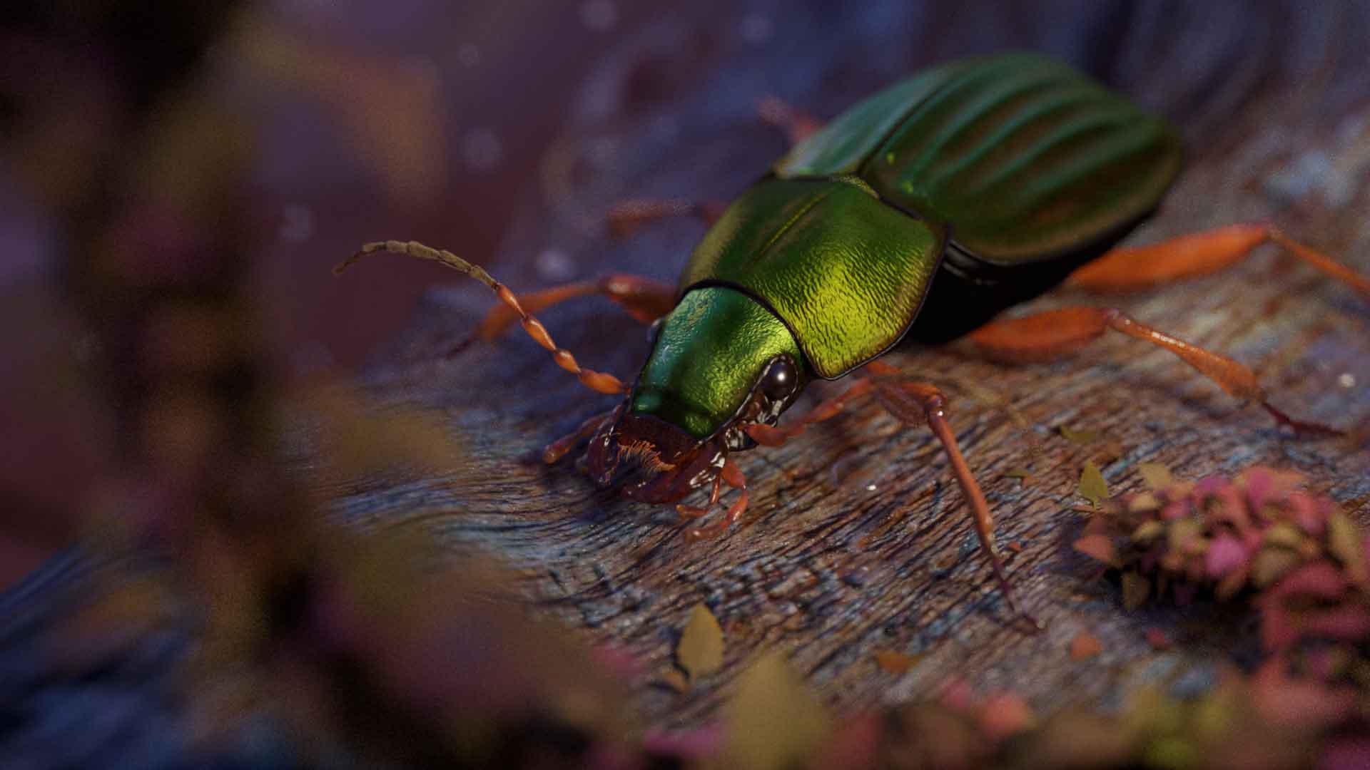 3d2a 2022 moulard ariane jb insectfinal v01