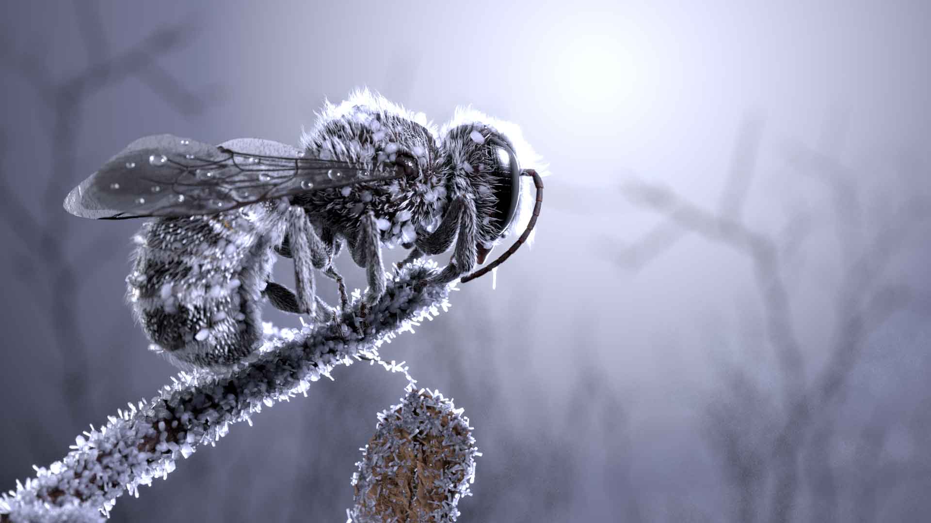 atelier insecte cinéma d'animation 2e année de toulouse esma
