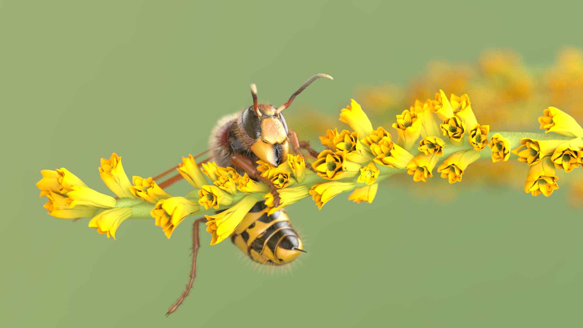3d2b 2022 gonzalez lucie jb insect raw v05