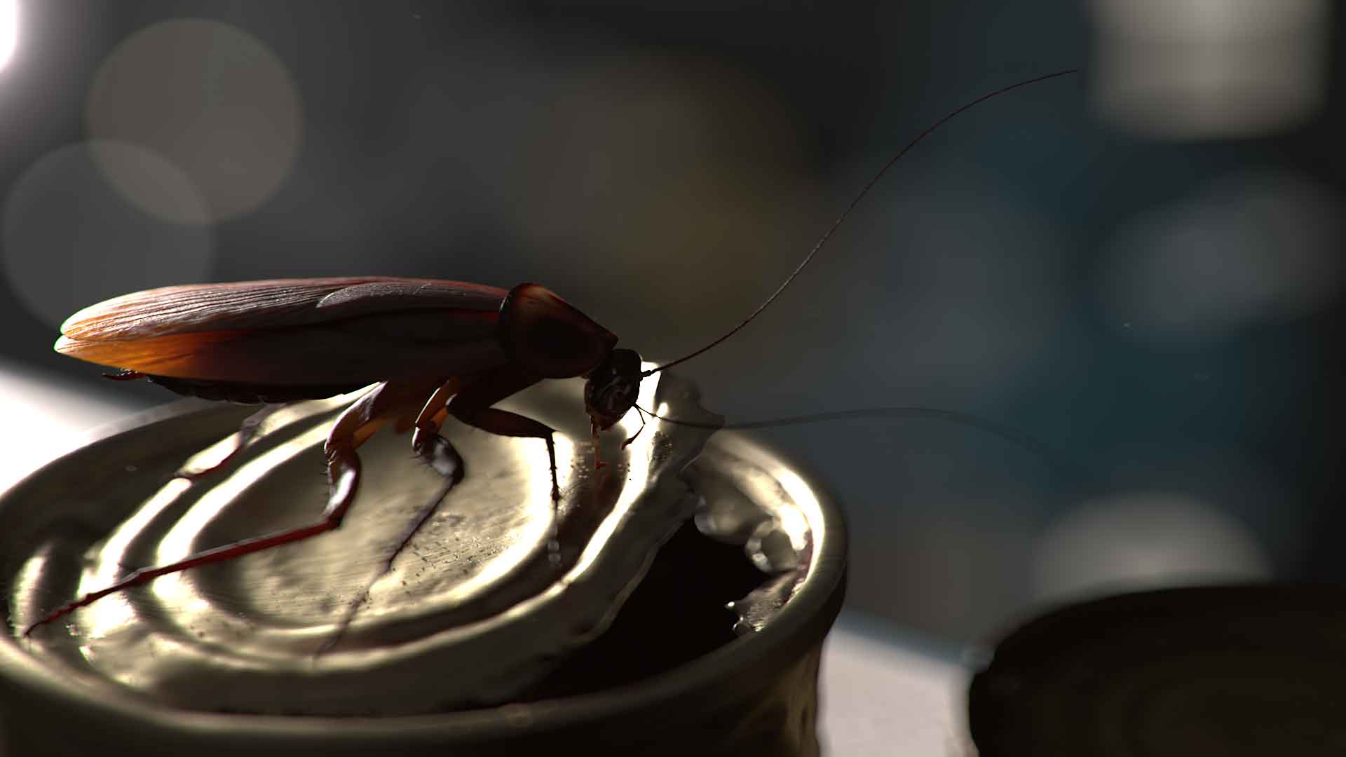 3d2b 2022 humbert elio jb insectfinal v01