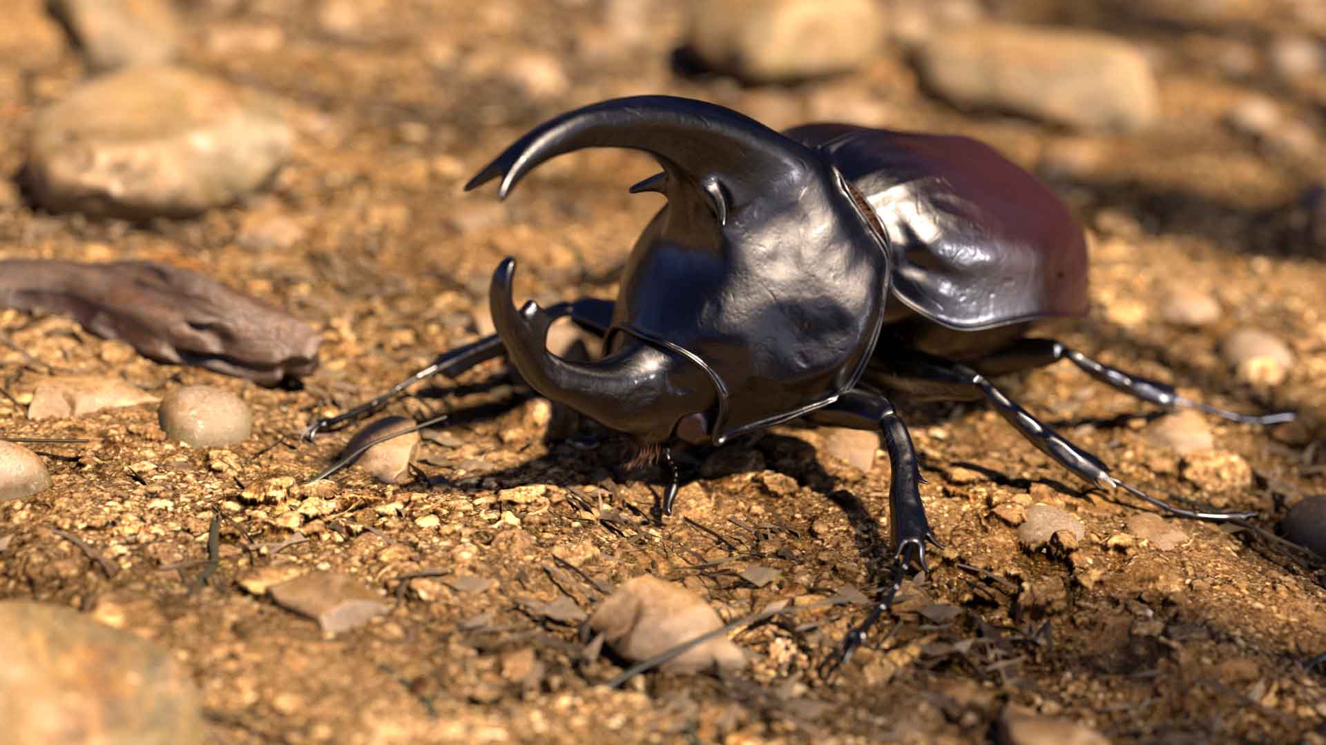 3d2b 2022 siline gibril jb insectfinal v01
