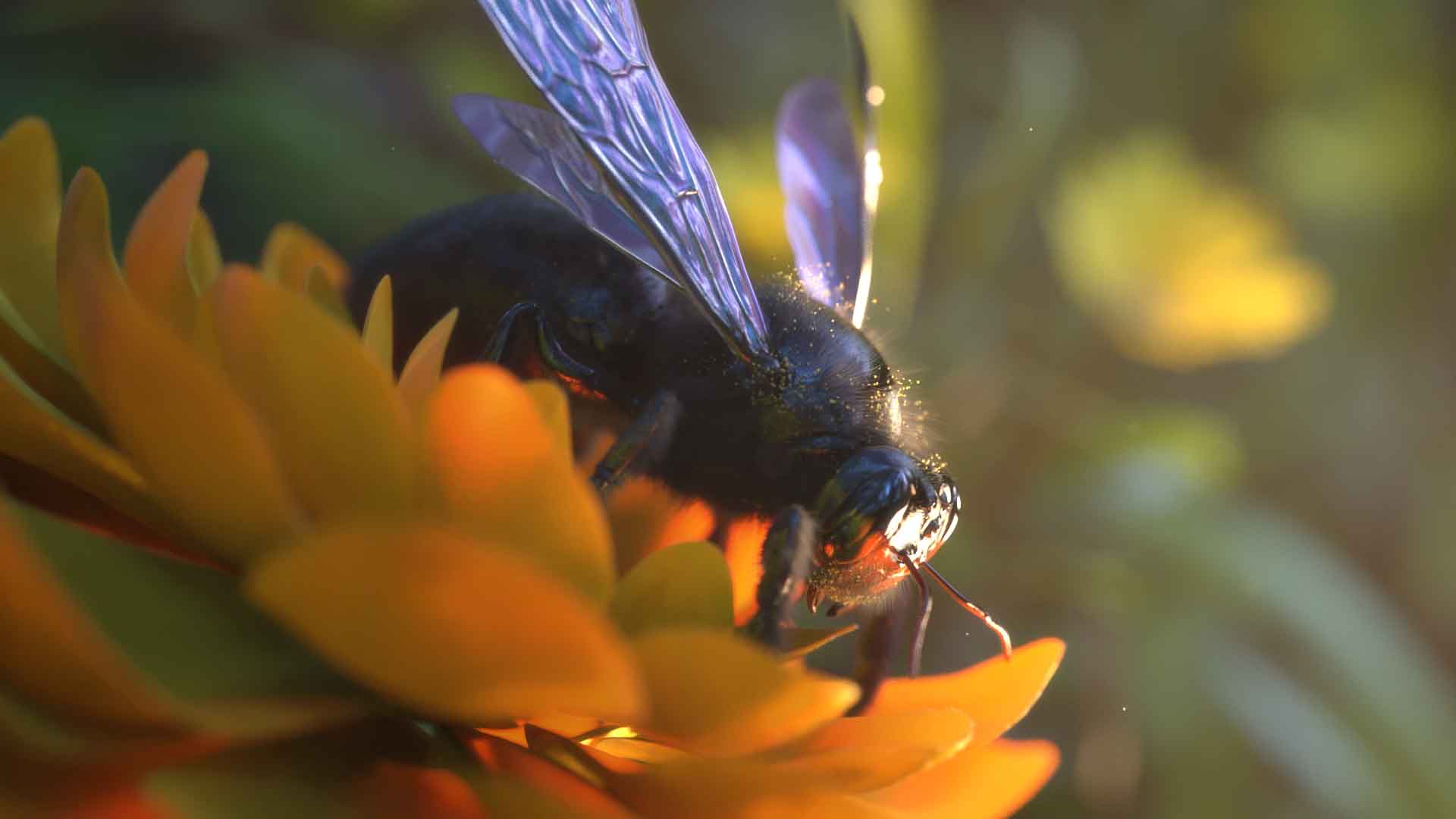 3d2c 2022 brejoux simon jb insectfinal