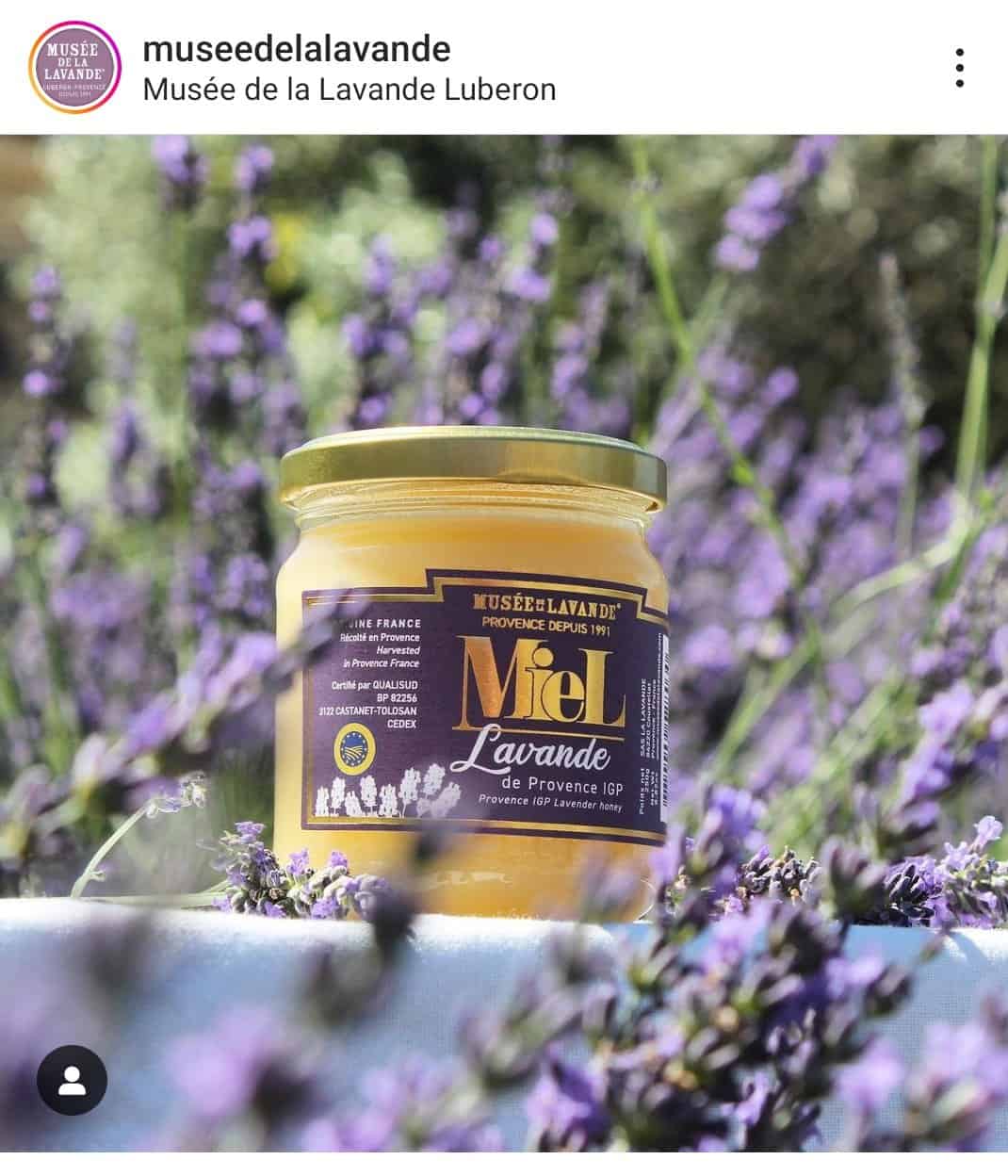 mdll miel instagram