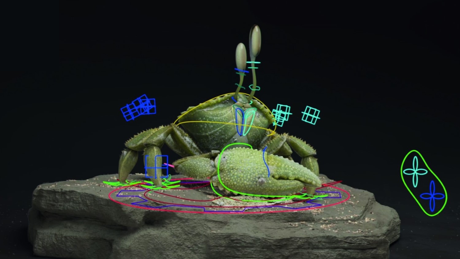Shell extract ESMA 3D Animation & Special Effects