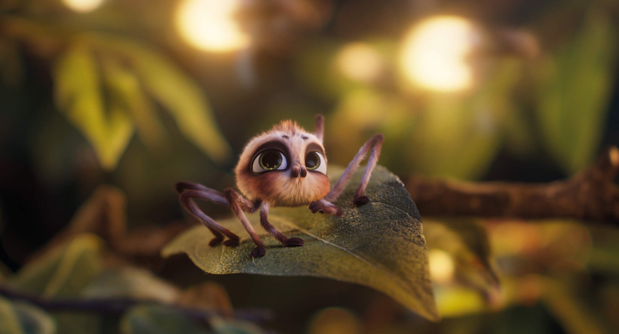 3D animation and VFX certification