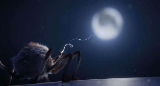 3d Animation Esma Course Objectives