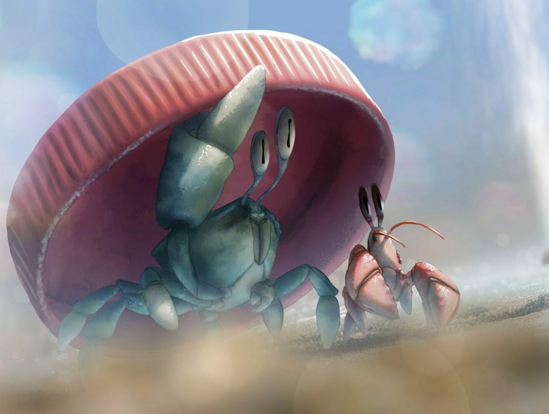 cg animation coquille esma