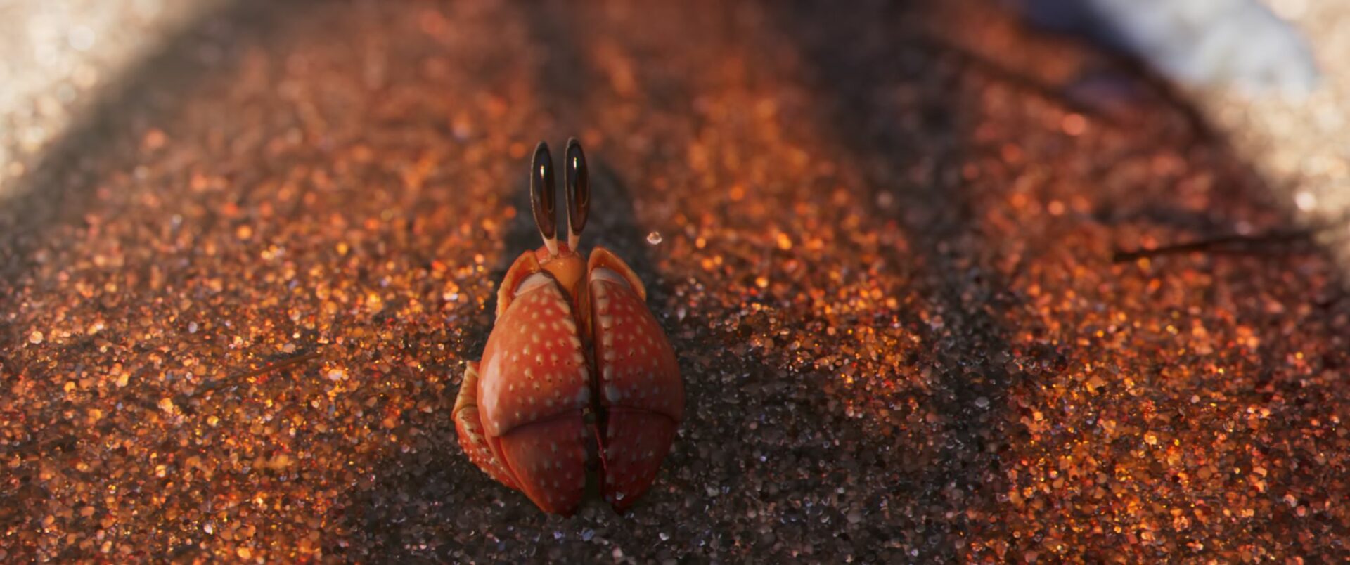 film d'animation coquille esma 2023