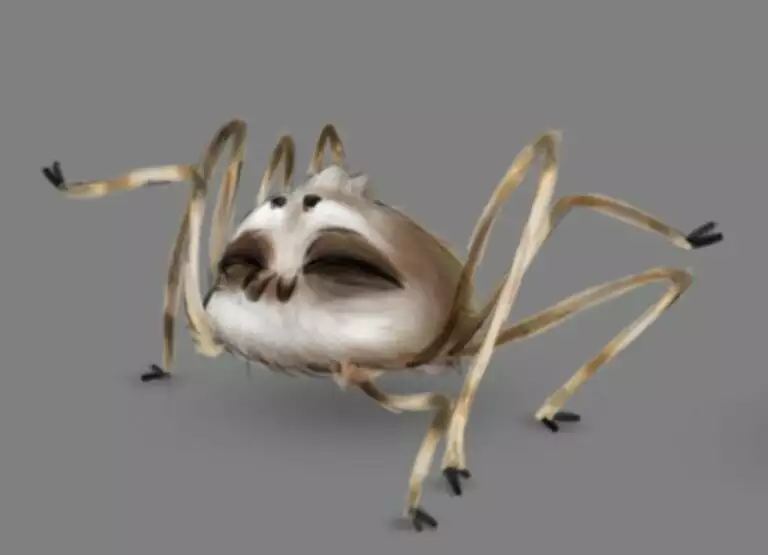 qu'est ce qu'un animateur 3d 1