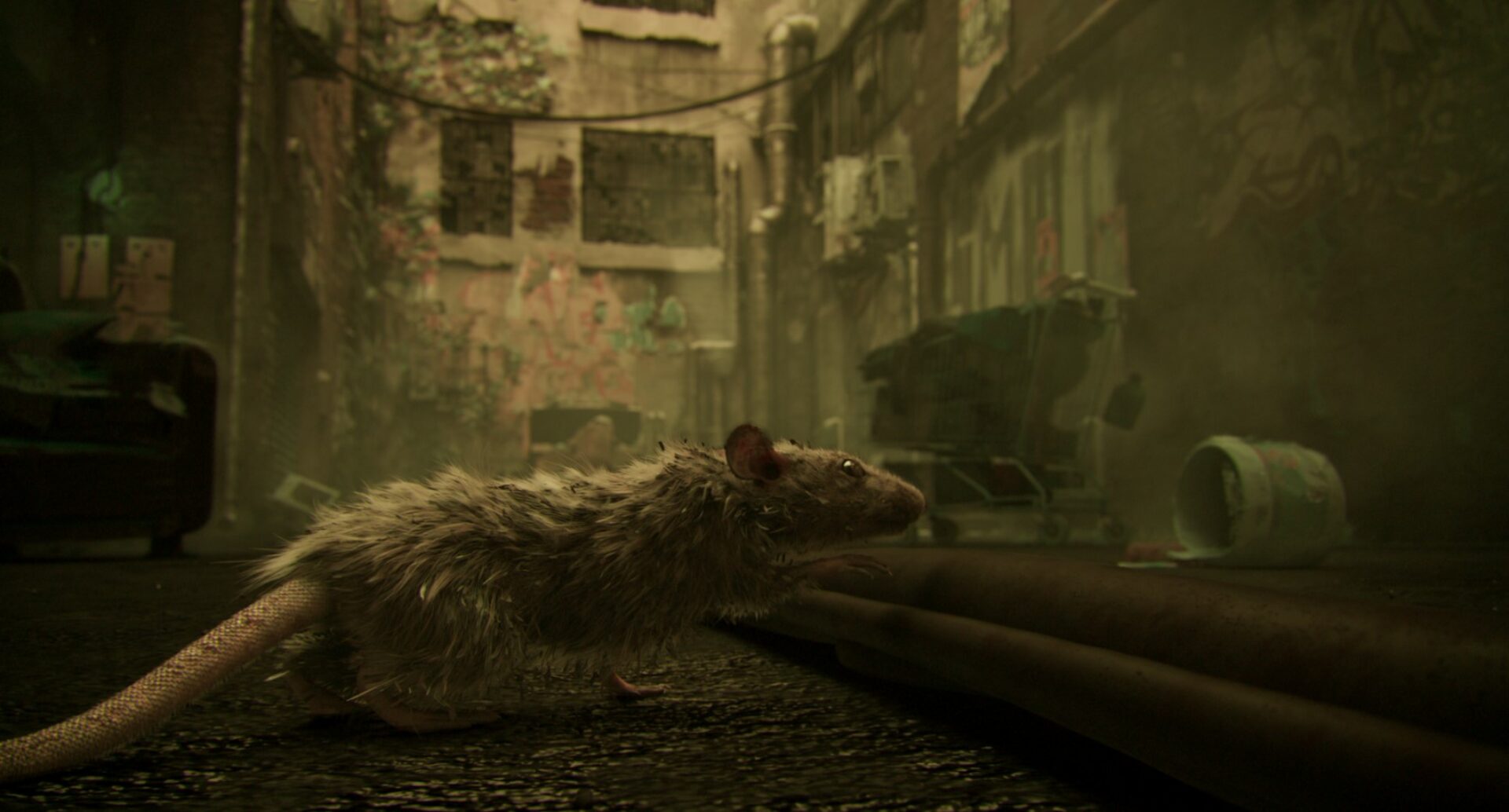 film trash esma 2024