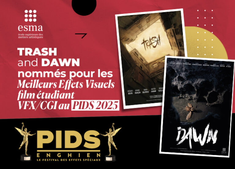 seleciton trash et dawn esma 3d pids