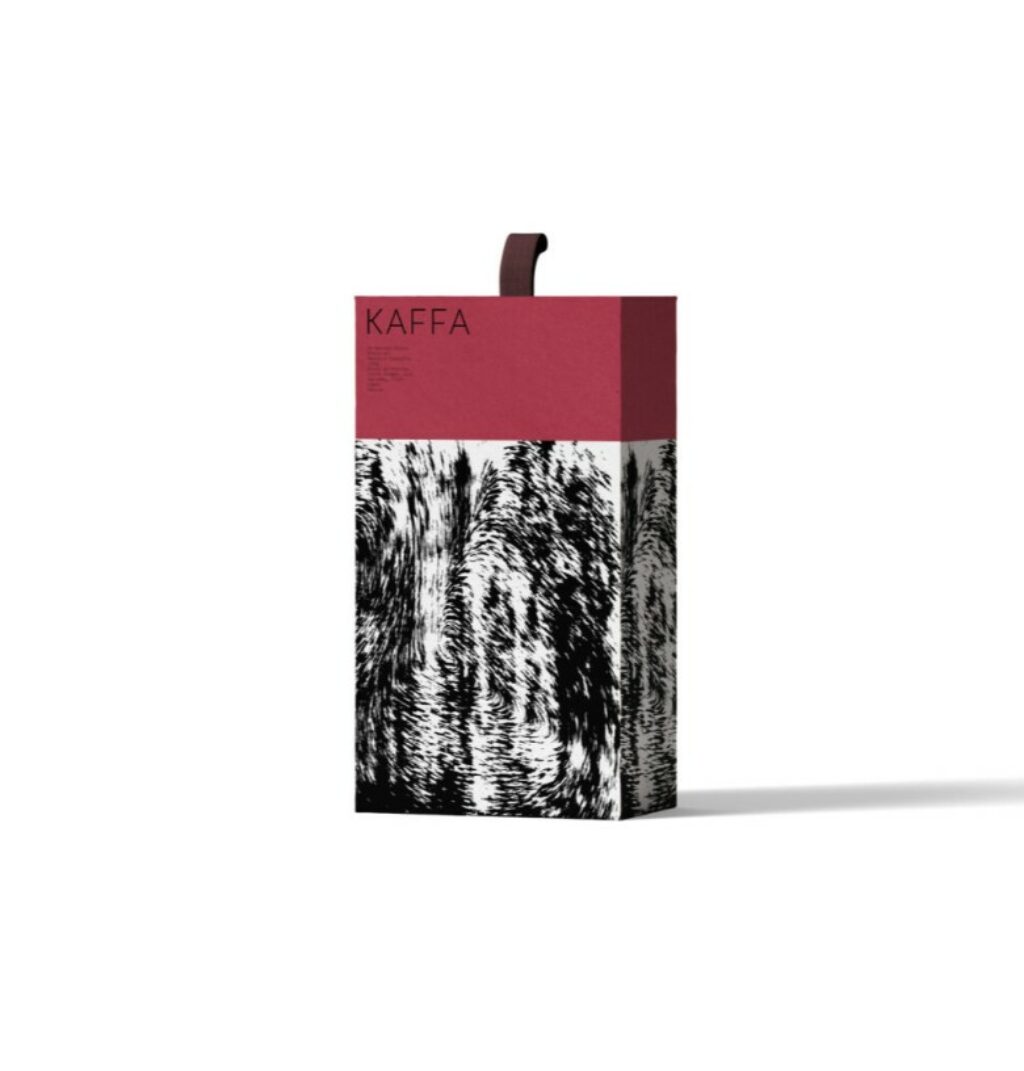 projet de lola caubet