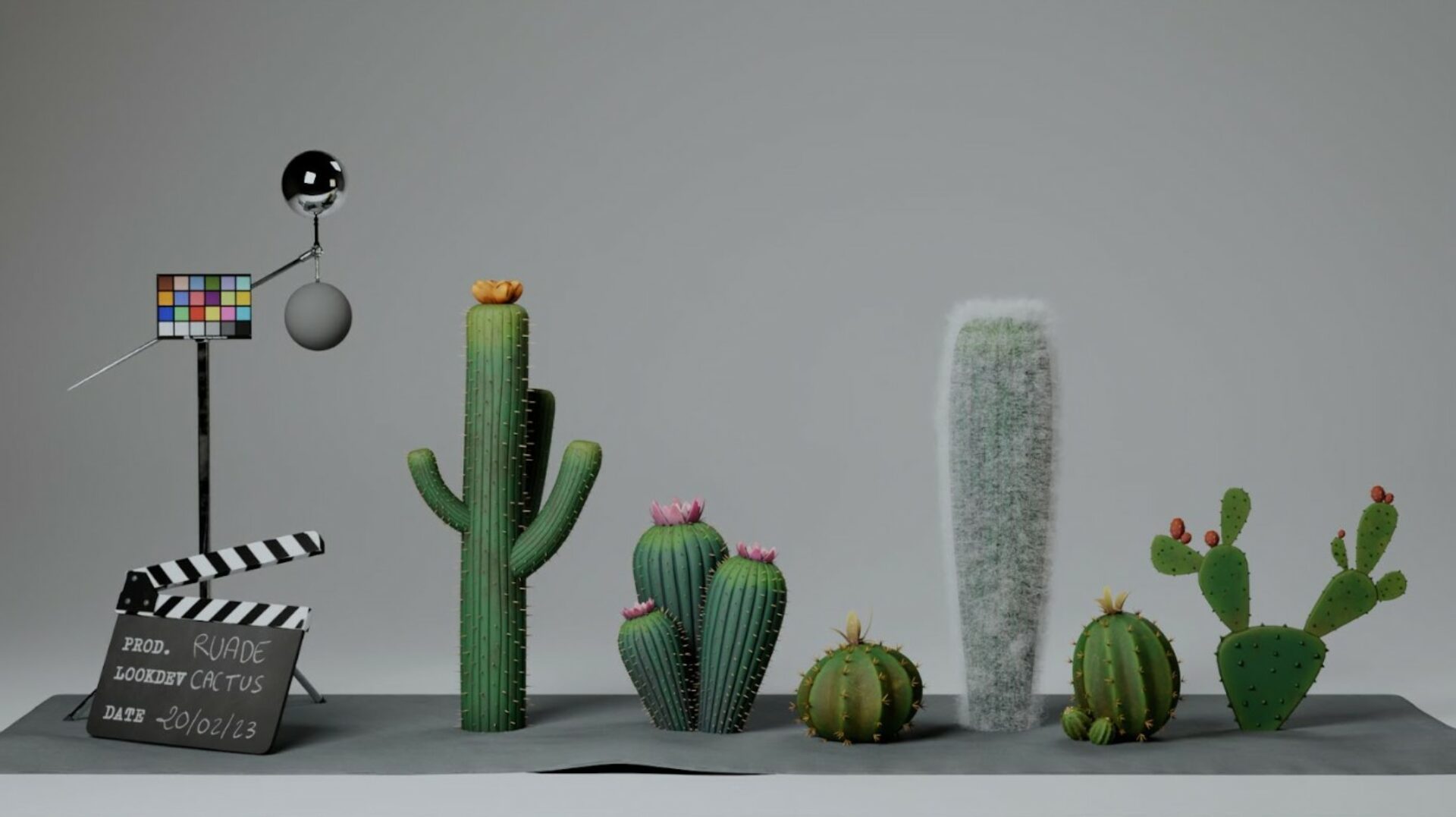 modelisation cactus ruades vers l'or