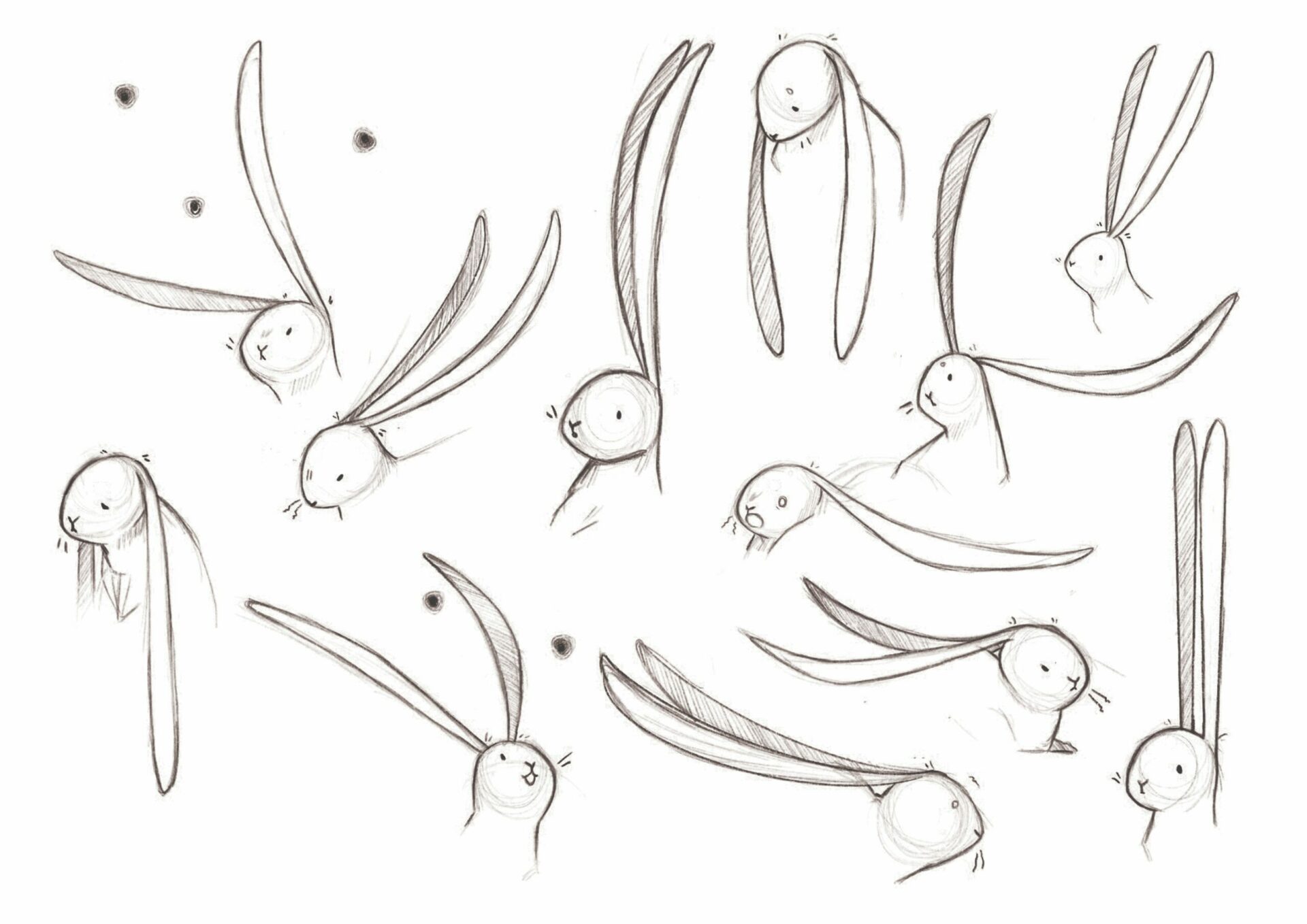 rabbit expression film 3d esma