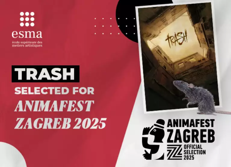 selection animfest