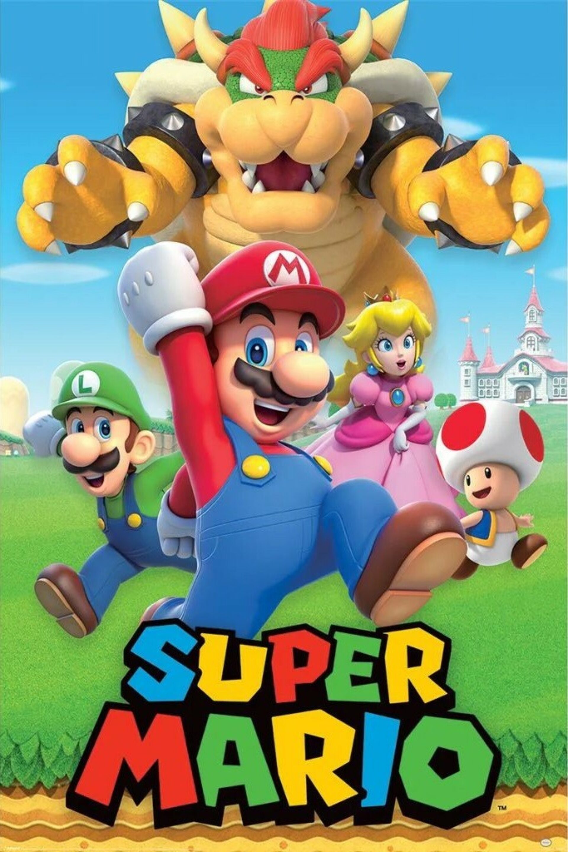 super mario jeu vidéo shigeru miyamoto