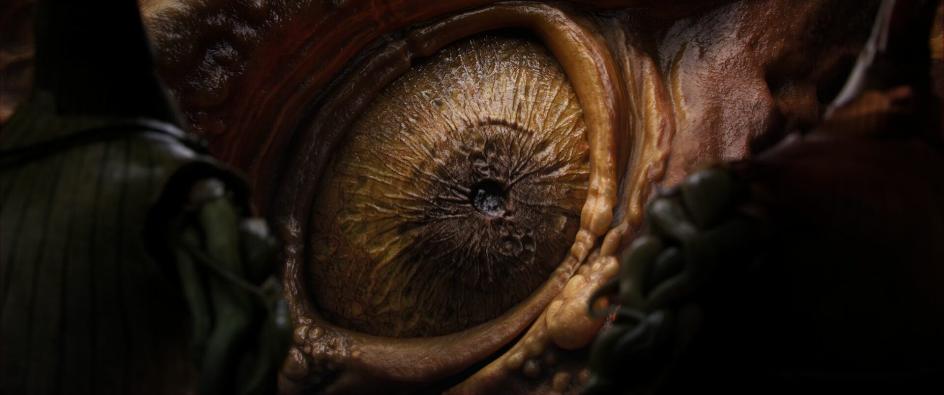 zoom extrait du film vidalia esma 2023