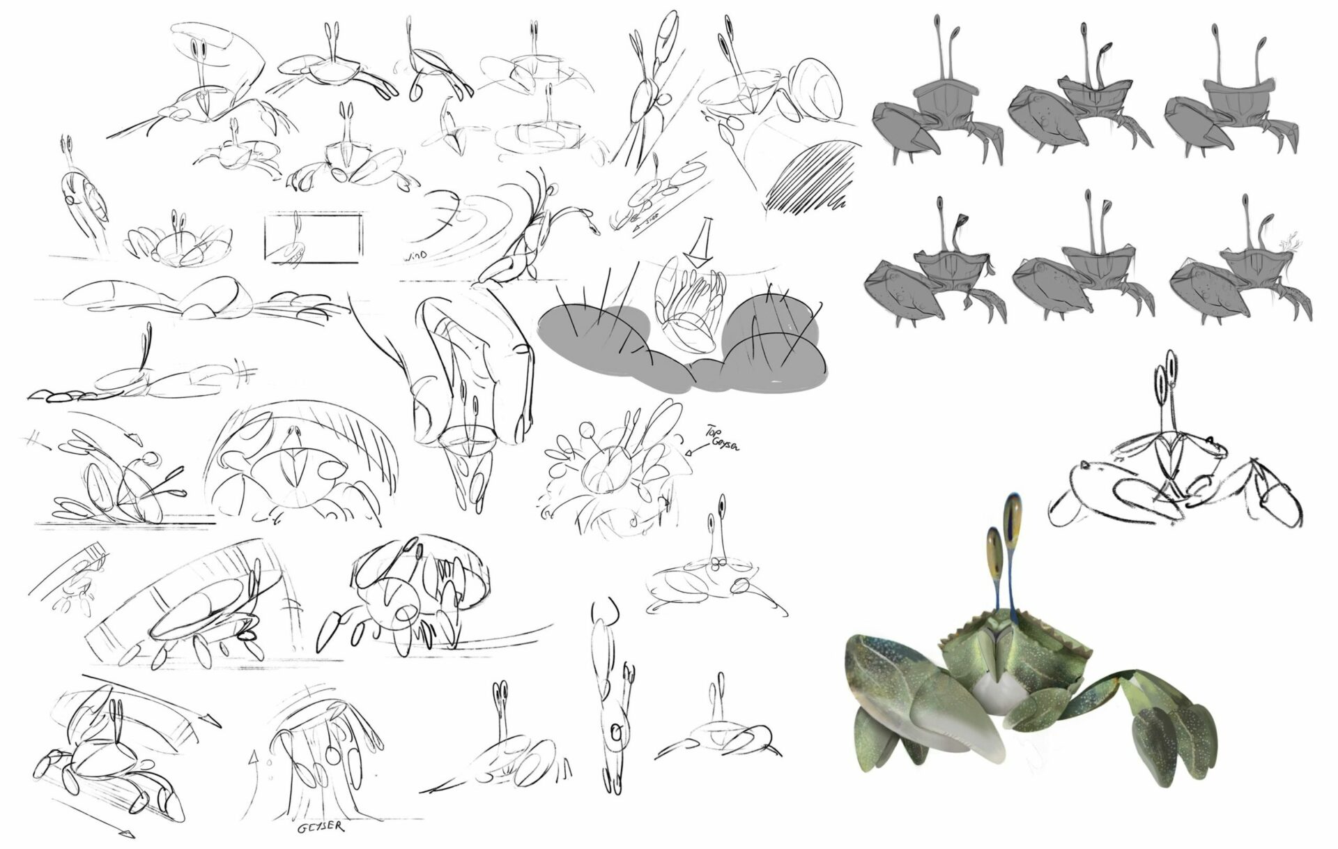 character design crabe coquille