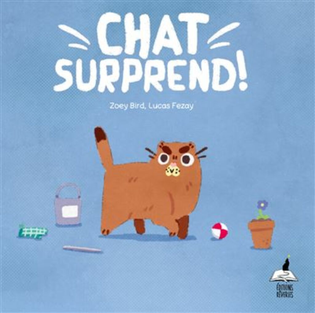 chat surprend