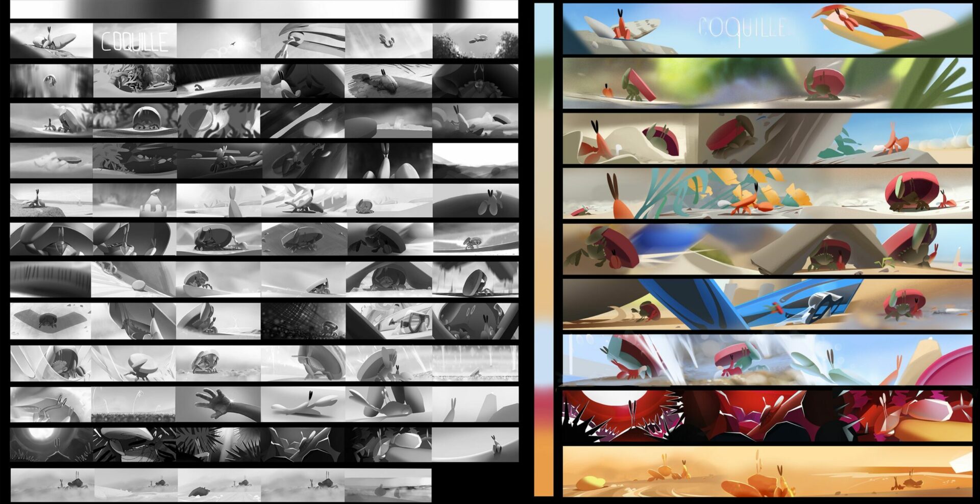story board coquille esma 2023