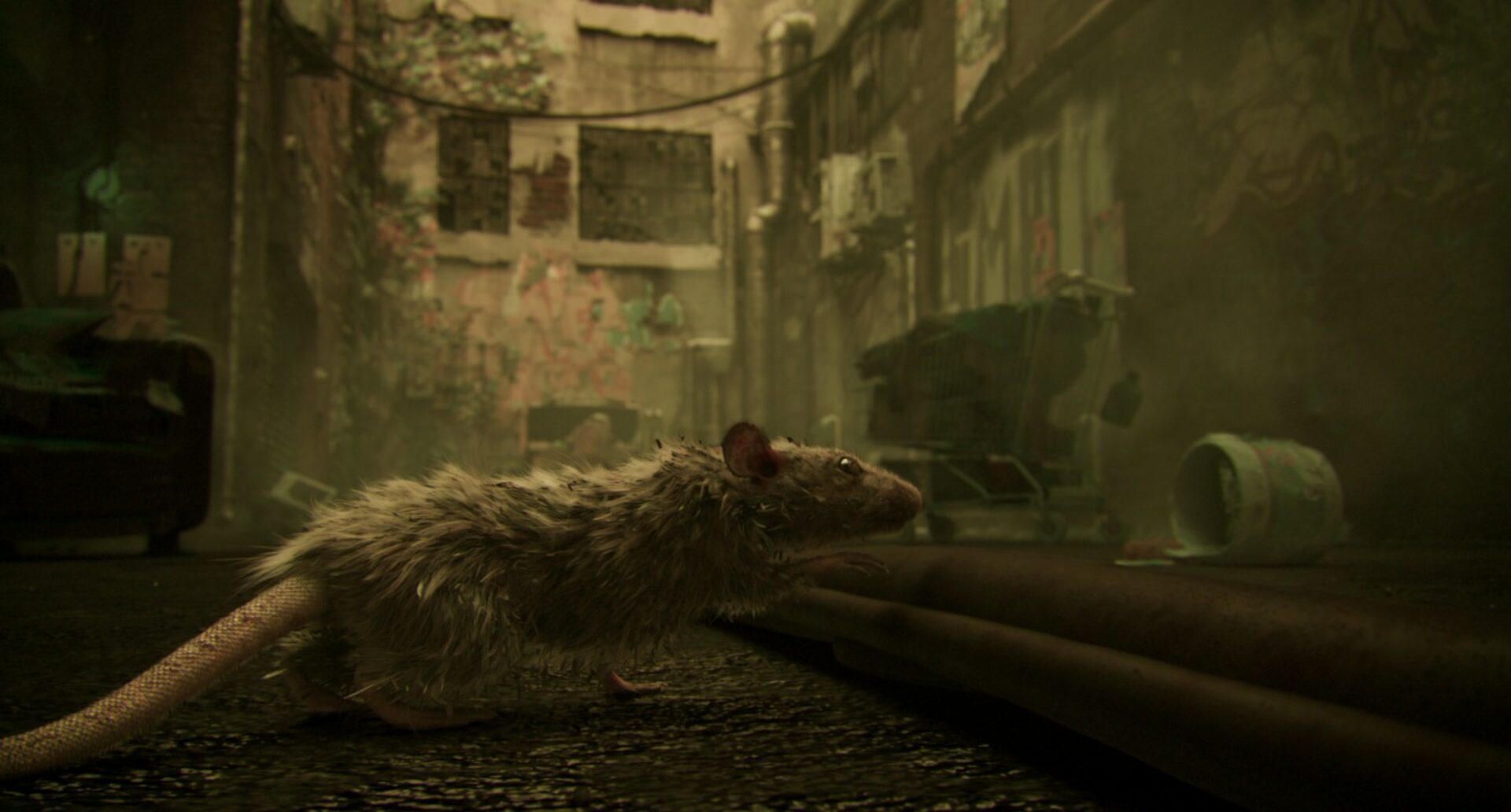 Trash Esma 3D