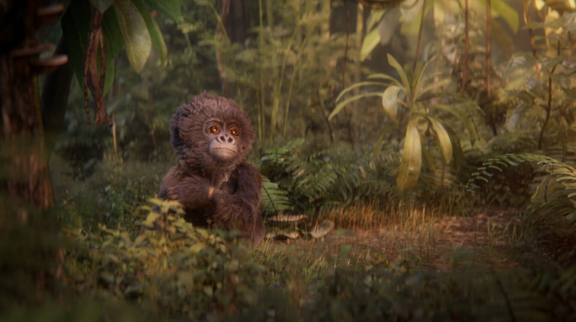 l'ombre du kivu extrait