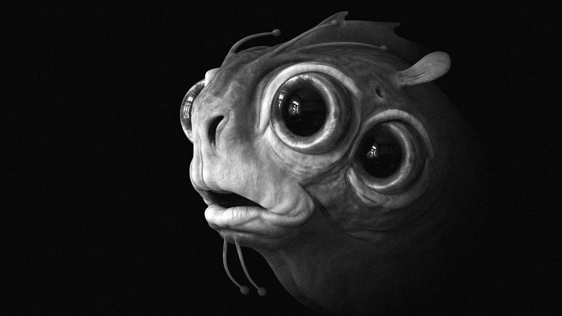 felix gourlaouen alien quarter bw