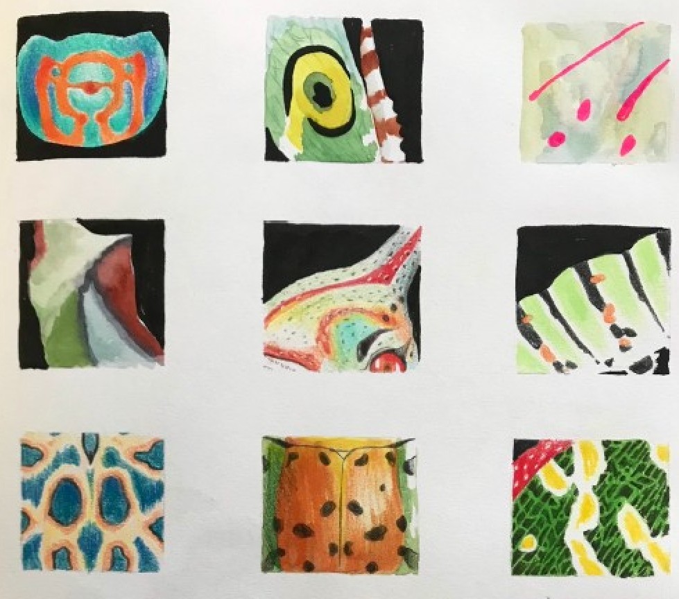 projet alter animaginaire