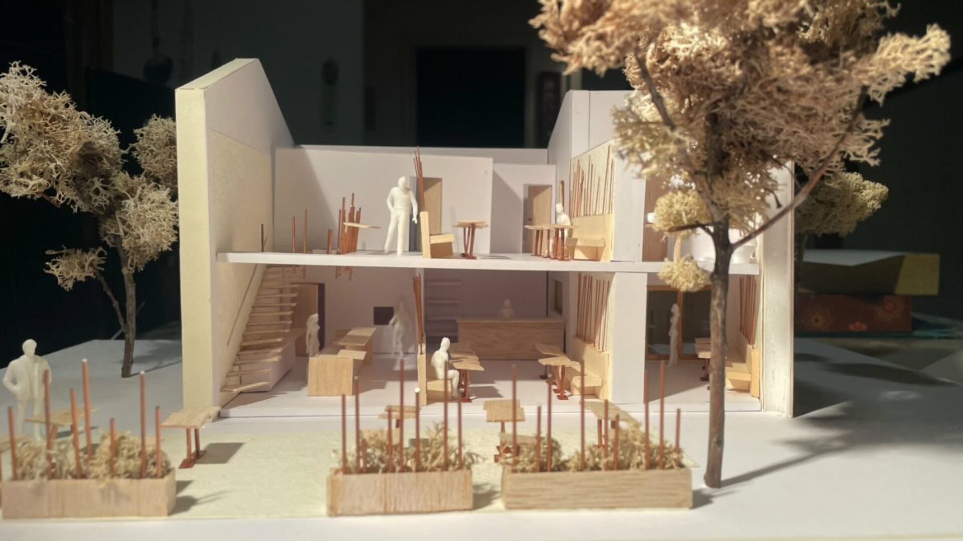 projet d'architecture cassandre smaniotto 2