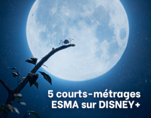 esma menu 320x252px (1)