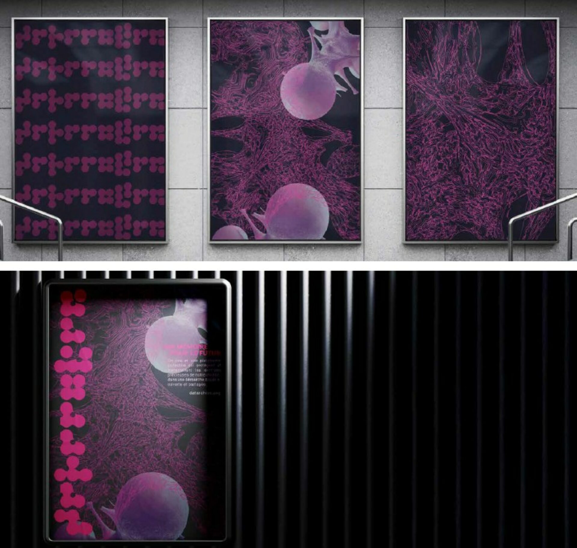 projet aimie serazin