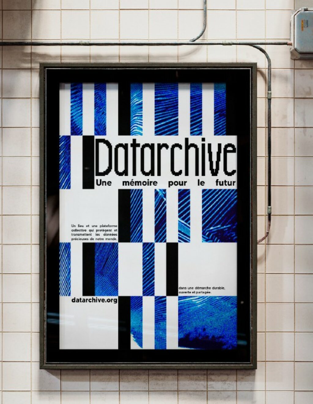 projet thomas vischi