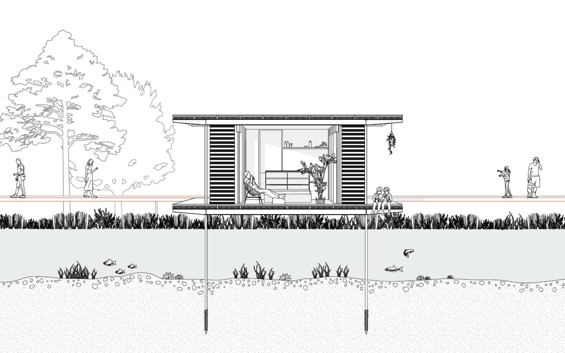 coupe perspective projet carla